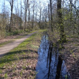 Eppendorfer Moor